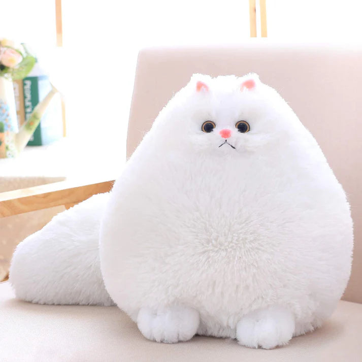 Catto | 70cm | White