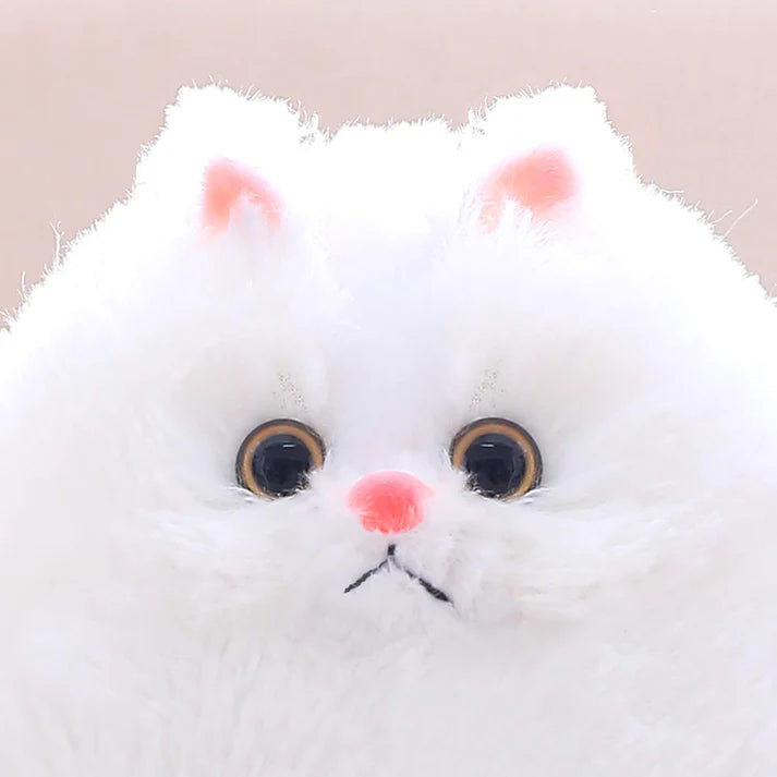 Catto | 70cm | White