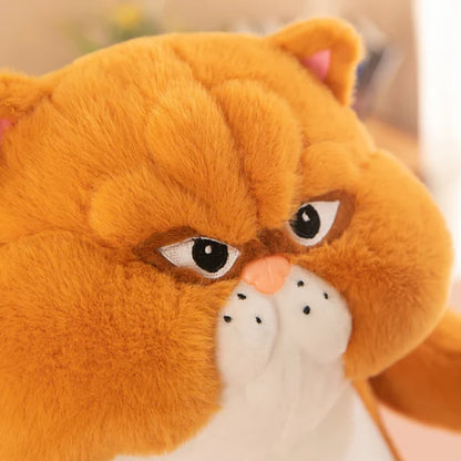 Grumpy Paws | 50cm | Orange