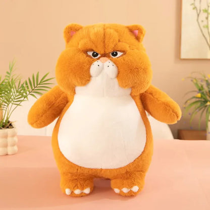 Grumpy Paws | 50cm | Orange