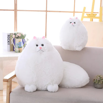 Catto | 70cm | White